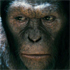 Kingdom of the Planet of the Apes - Not Our Planet 