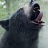 How Real Is It:  Bear Expert Rates 9 Bear Attacks In Movies And TV